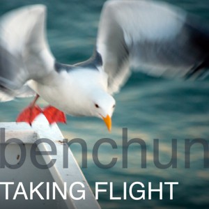 Taking Flight