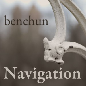 Navigation